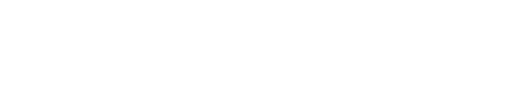 Secondswap logo
